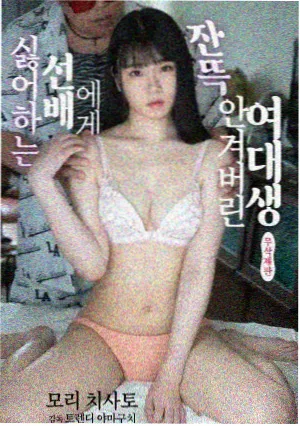 迷雾追踪免费在线观看